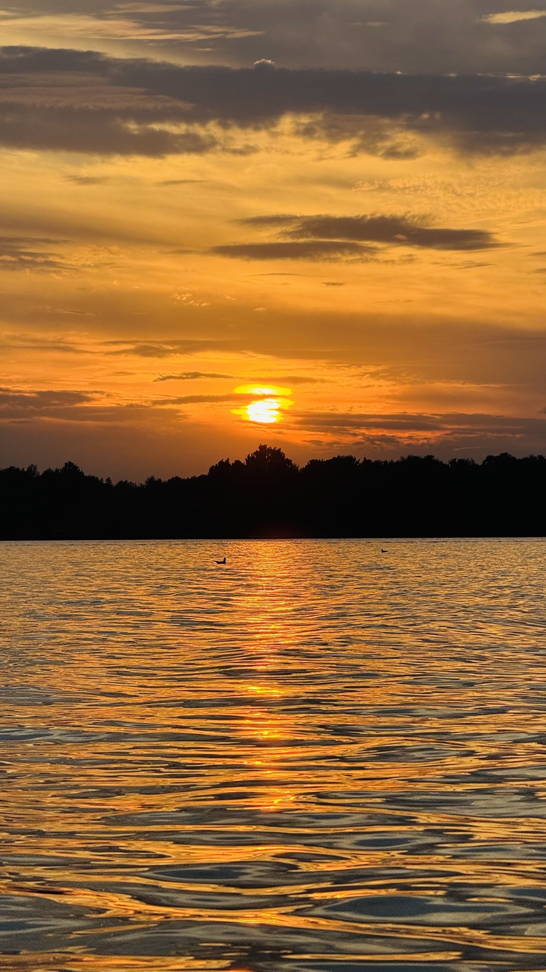 Auto-generated description: A vibrant sunset casts warm orange and yellow hues over a calm body of water with silhouettes of distant trees and a serene sky.